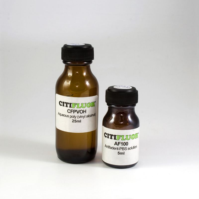 R1326_1 Citifluor aushärtende Montagelösung (25 ml PVA + 5 ml Puffer)