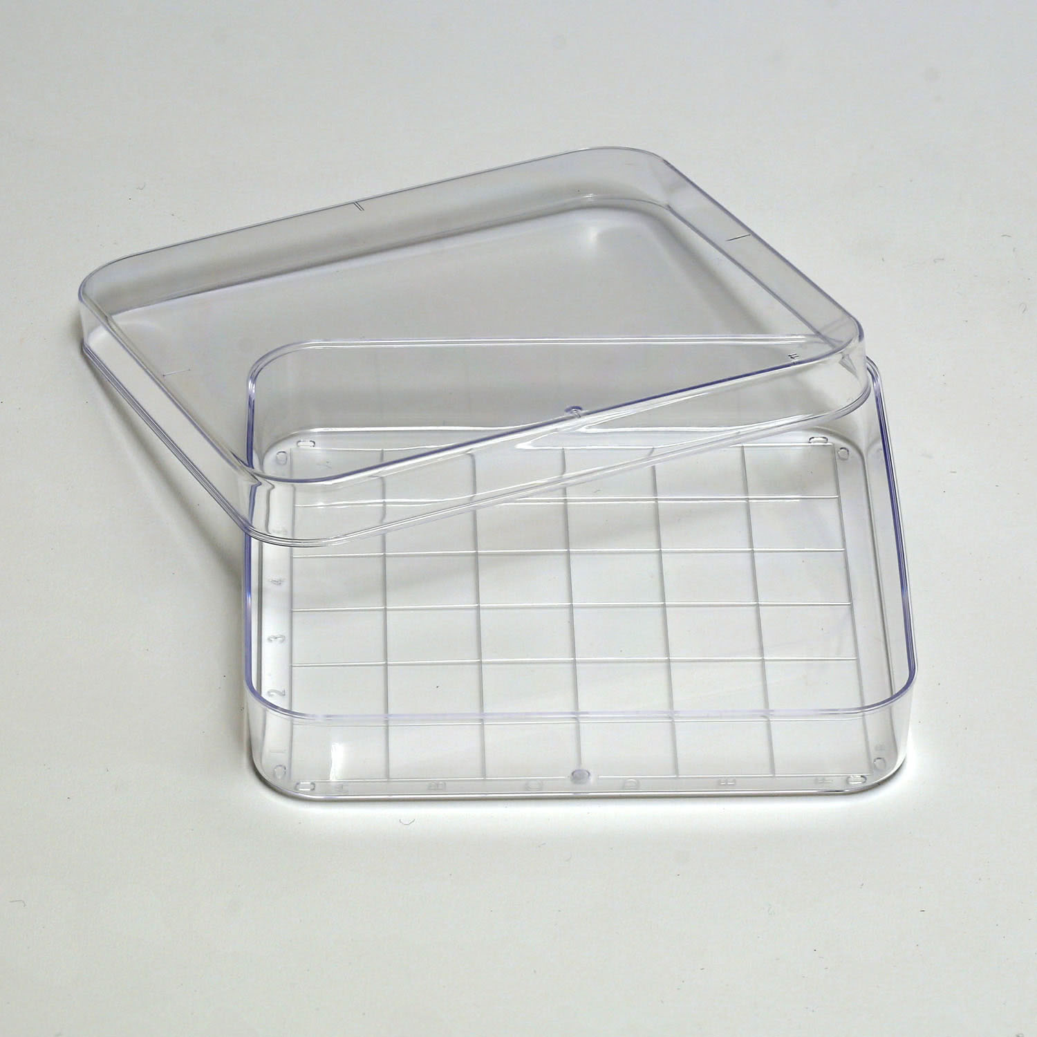 G3650D_1 Petrischalen aus Kunststoff