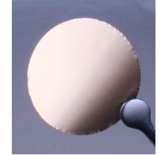 Polycarbonat Filter, goldbeschichtet, Ø 13 mm