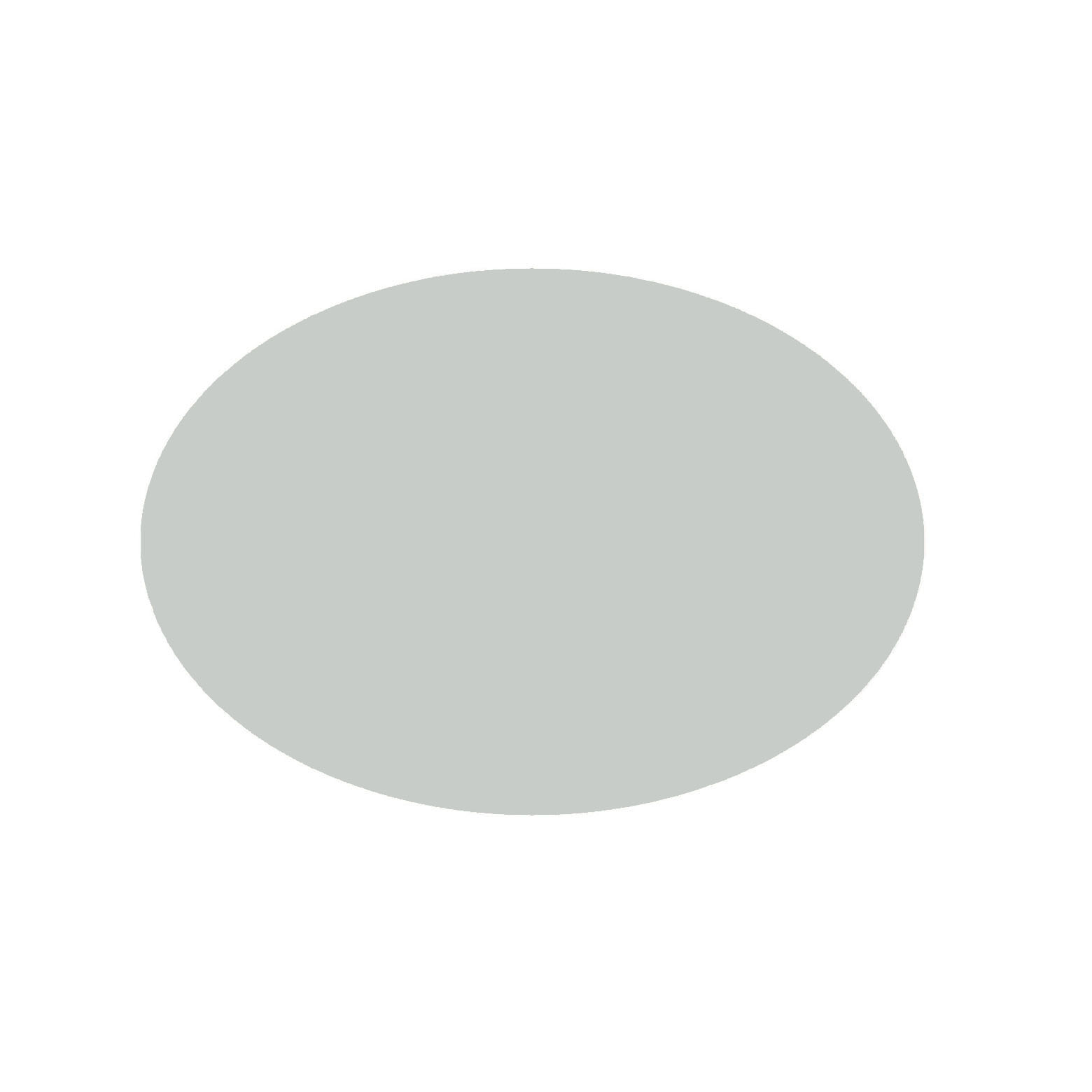 Sputter Target ø 54 mm für Bal-Tec / Leica Geräte