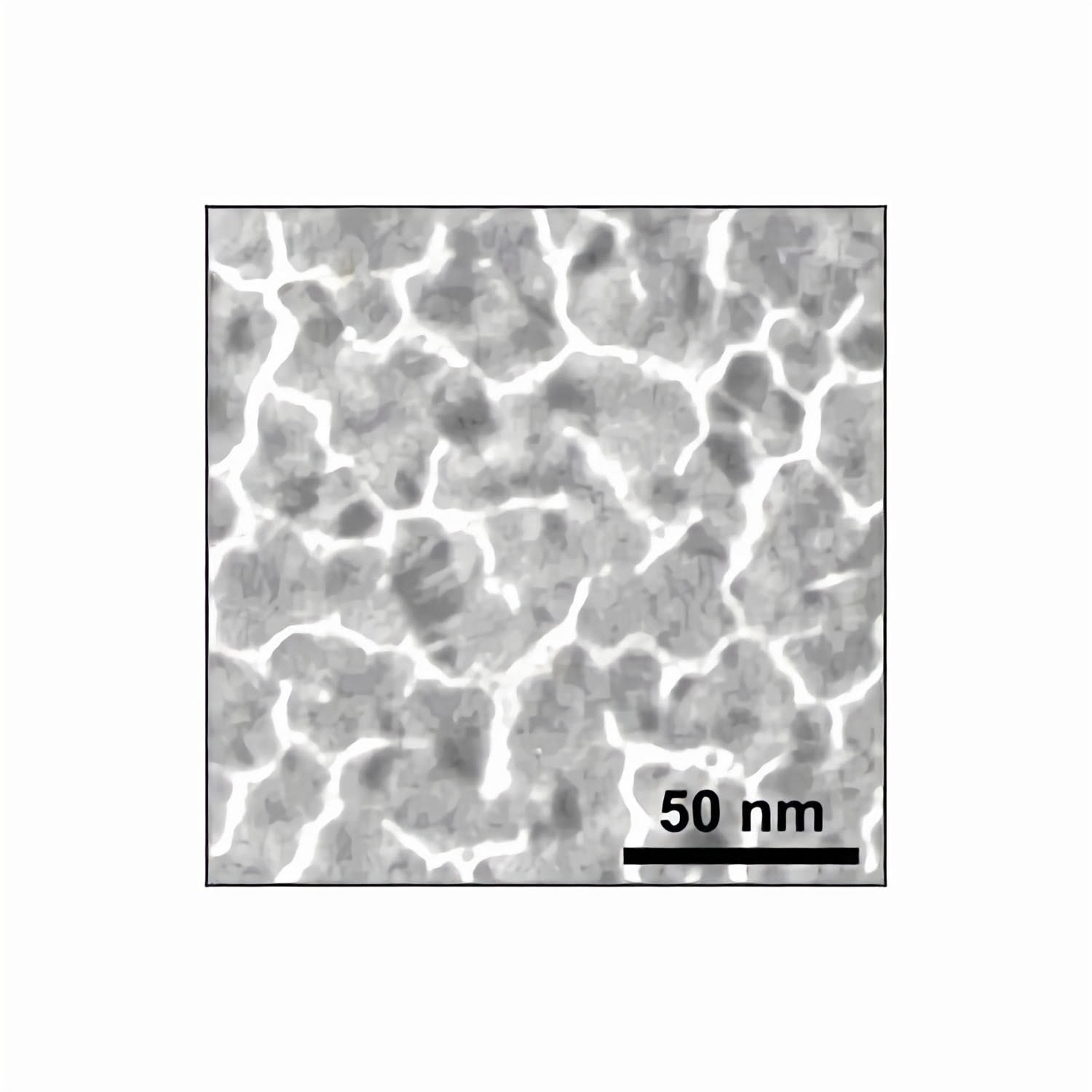 21320_1 Substratek - metallischer Trägerfilm auf 300 mesh Goldnetzchen