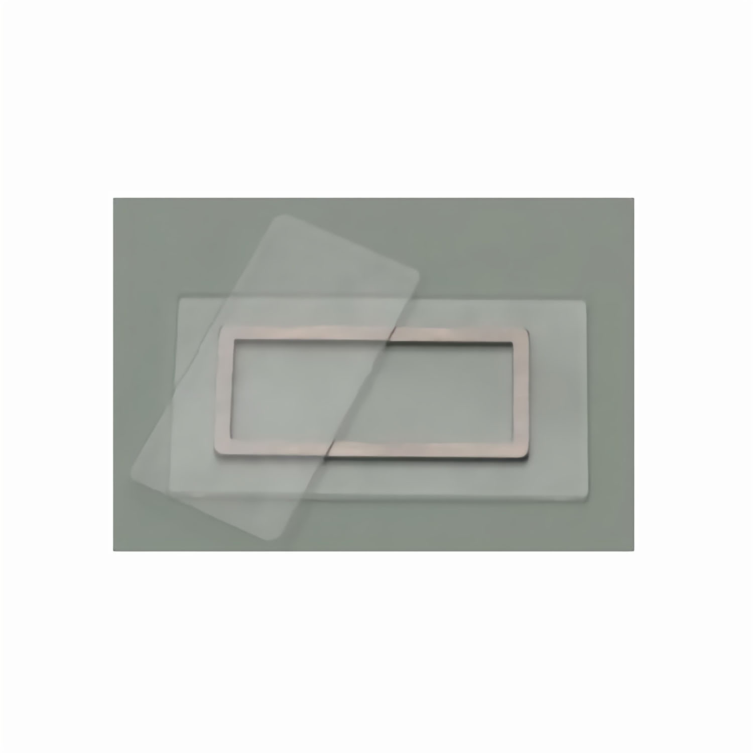 LP20418_1 Sedgewick Bassin-Objektträger (Bassin 1ml, inkl. Deckglas)