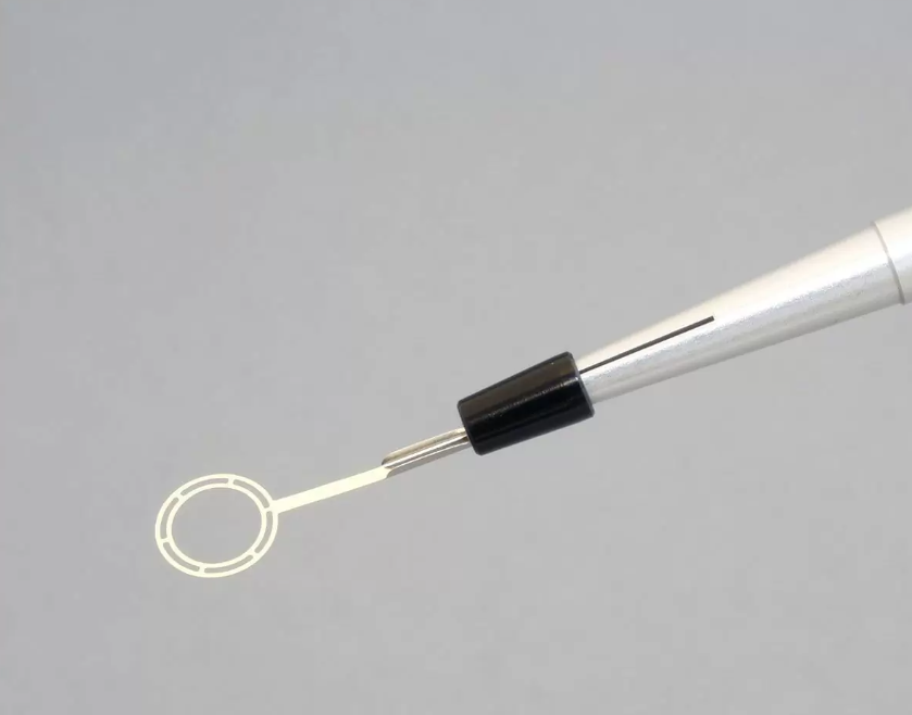 Perfect loop - Präziser Kescher für die Lichtmikroskopie mit Griff für ultradünne Schnitte Perfect loop - Präziser Kescher für die Lichtmikroskopie mit Griff für ultradünne Schnitte