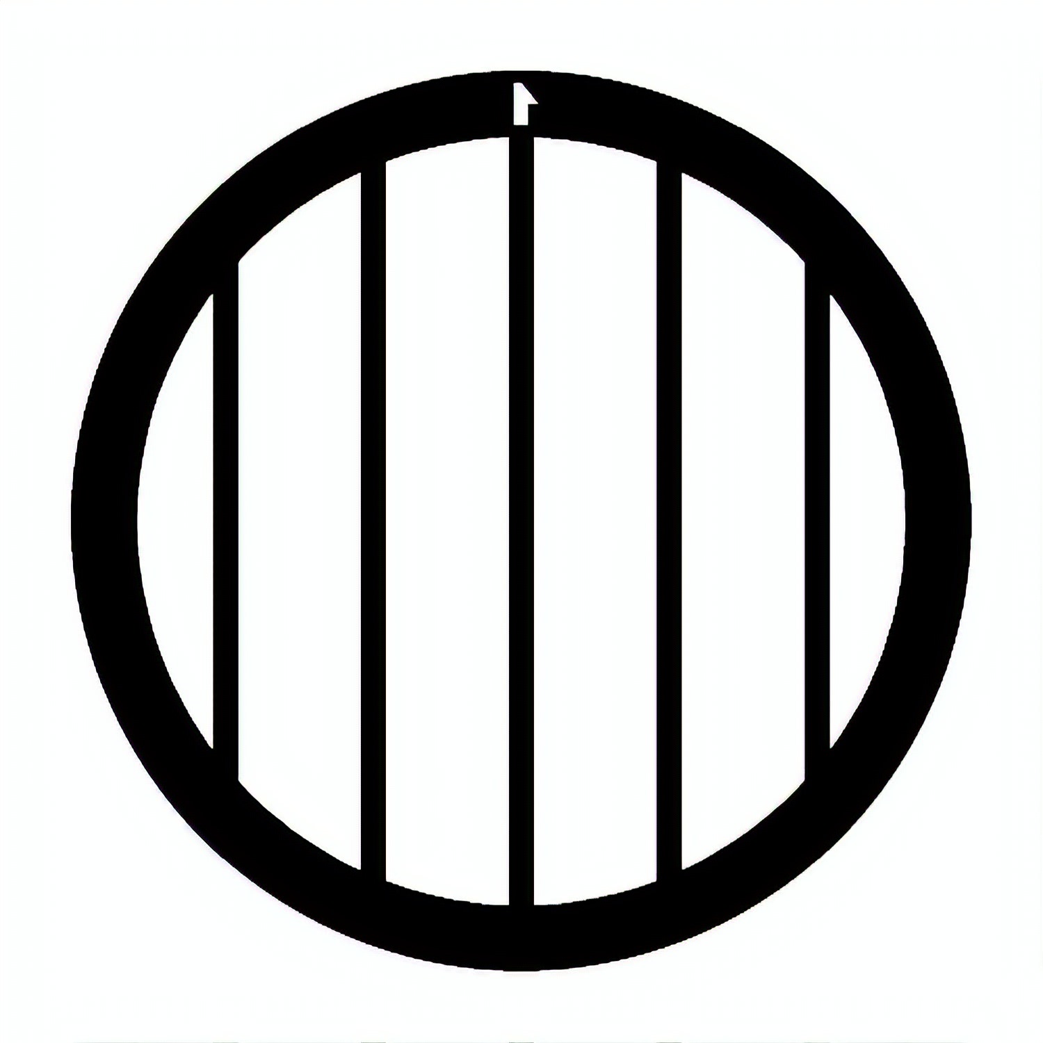G2010N_1 TEM Grids, Netzchen mit parallelen Stegen