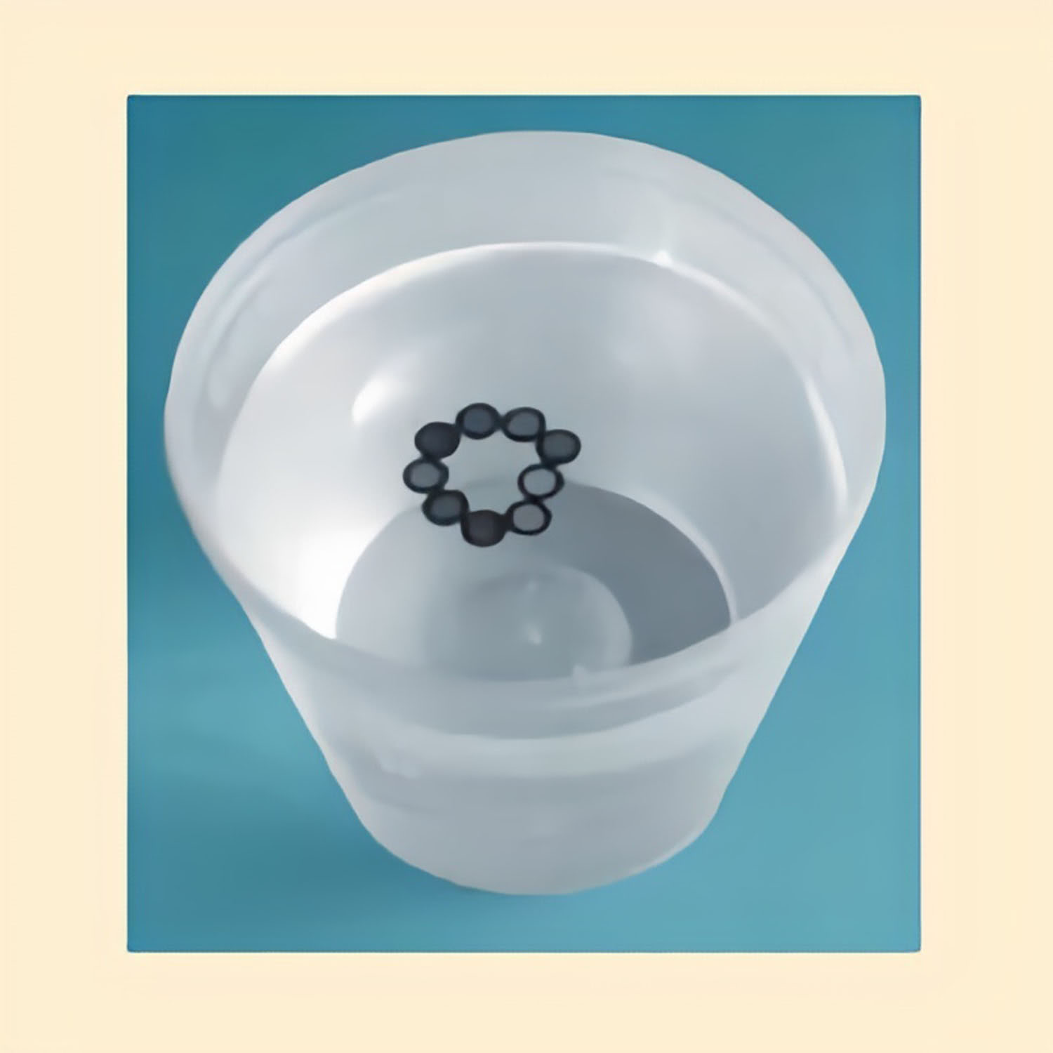 12901_1 Polypropylenbecher