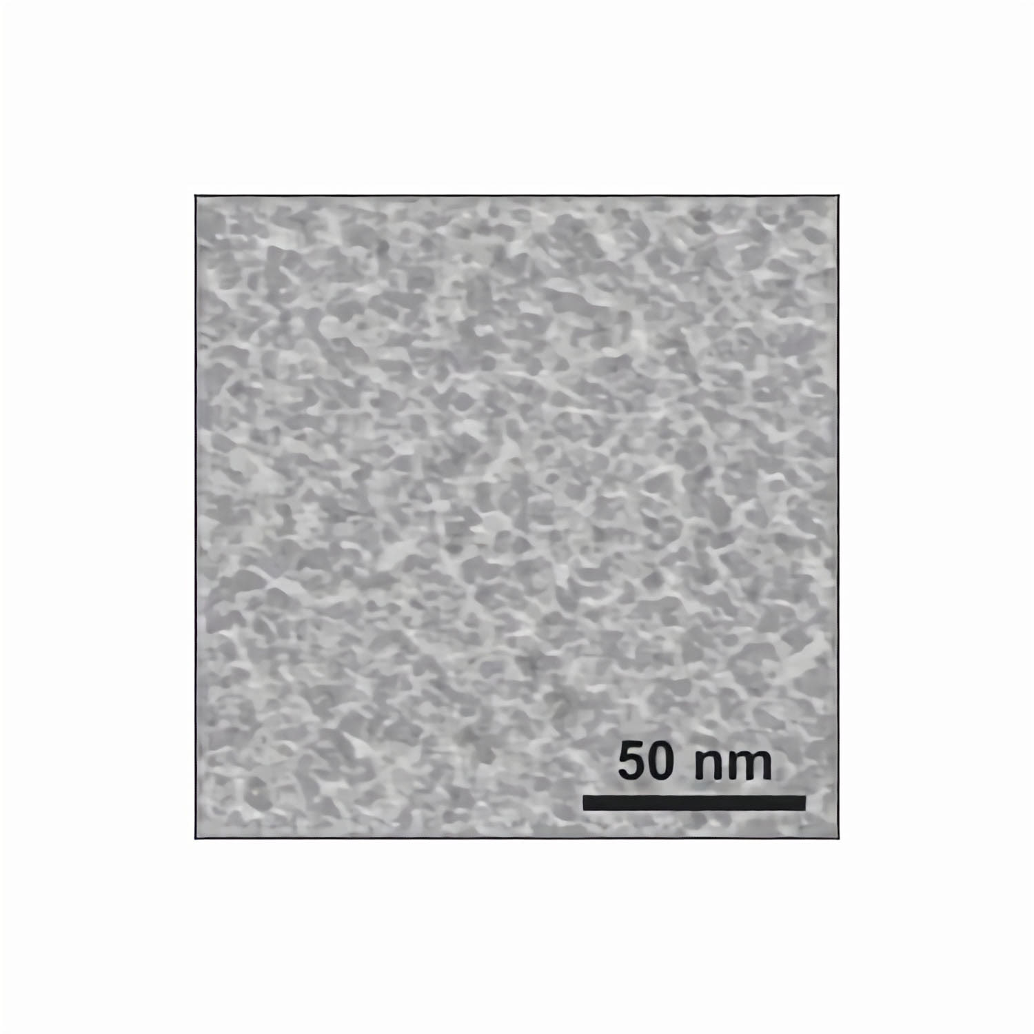 21310_1 Substratek - metallischer Trägerfilm auf 300 mesh Goldnetzchen