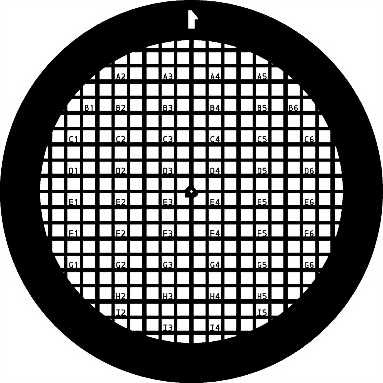 Finder Netzchen (Gilder)