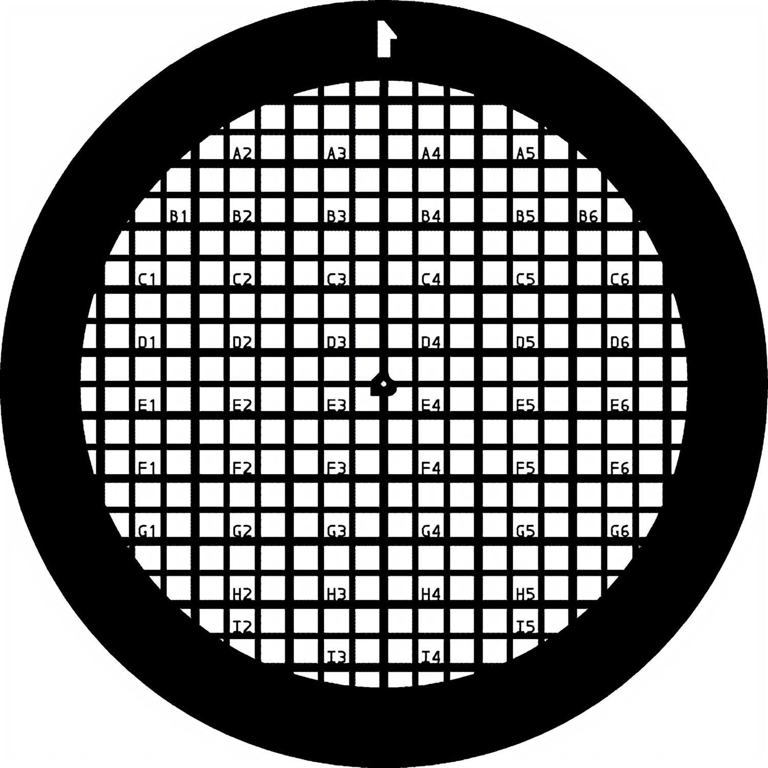 G239-F1_1