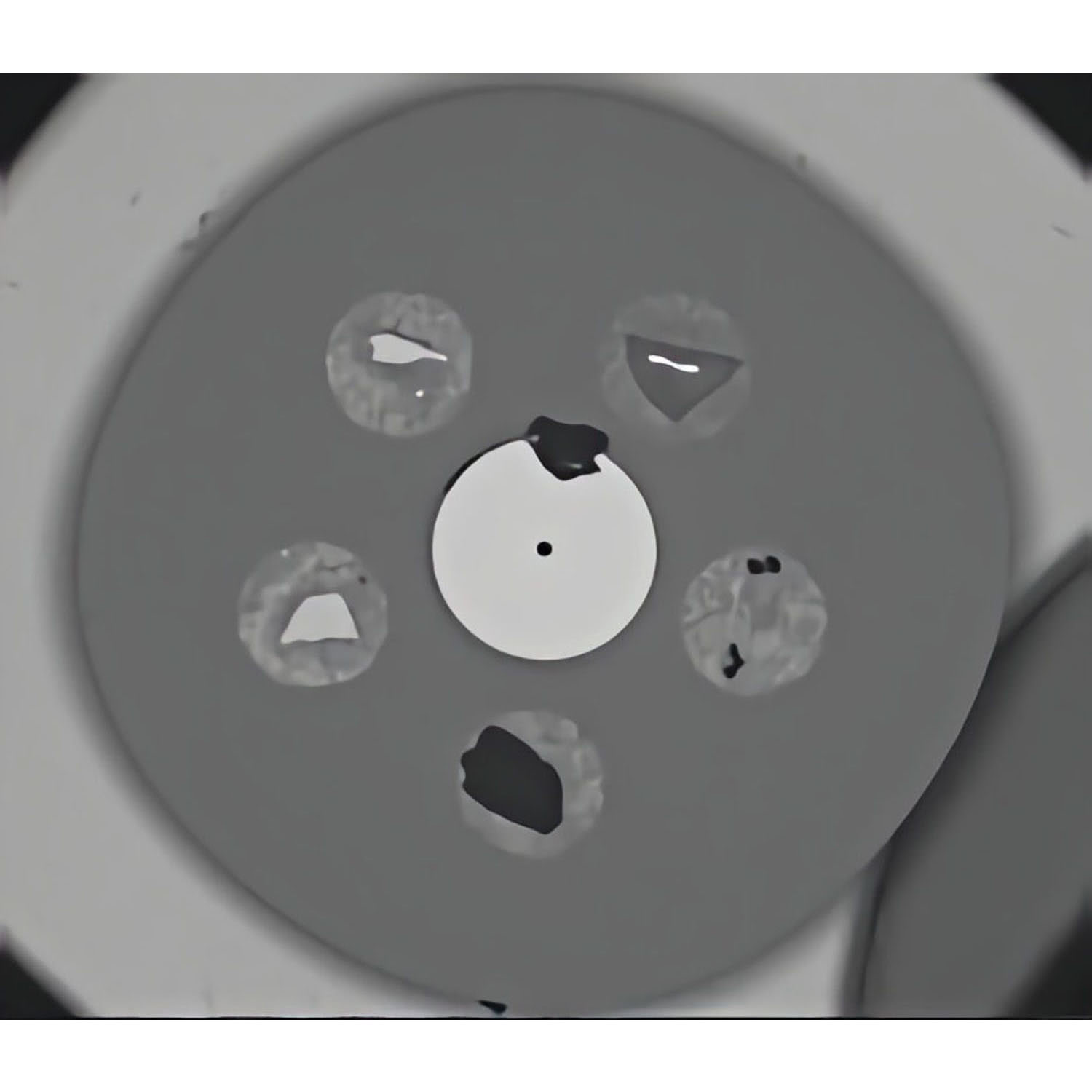 659-8_1 Kalibrierstandard "XCS EDS"