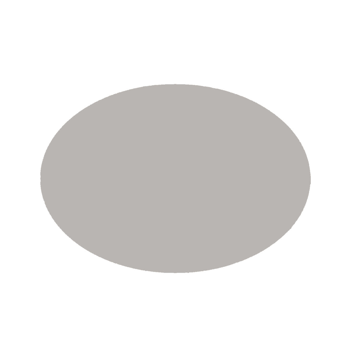 B7392-2_1 Sputter Target ø 54 mm für Bal-Tec / Leica Geräte