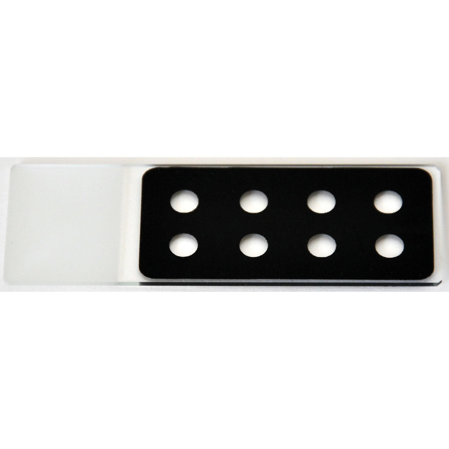 260503_1 Spot Slides - Objektträger mit Präparationsmulden