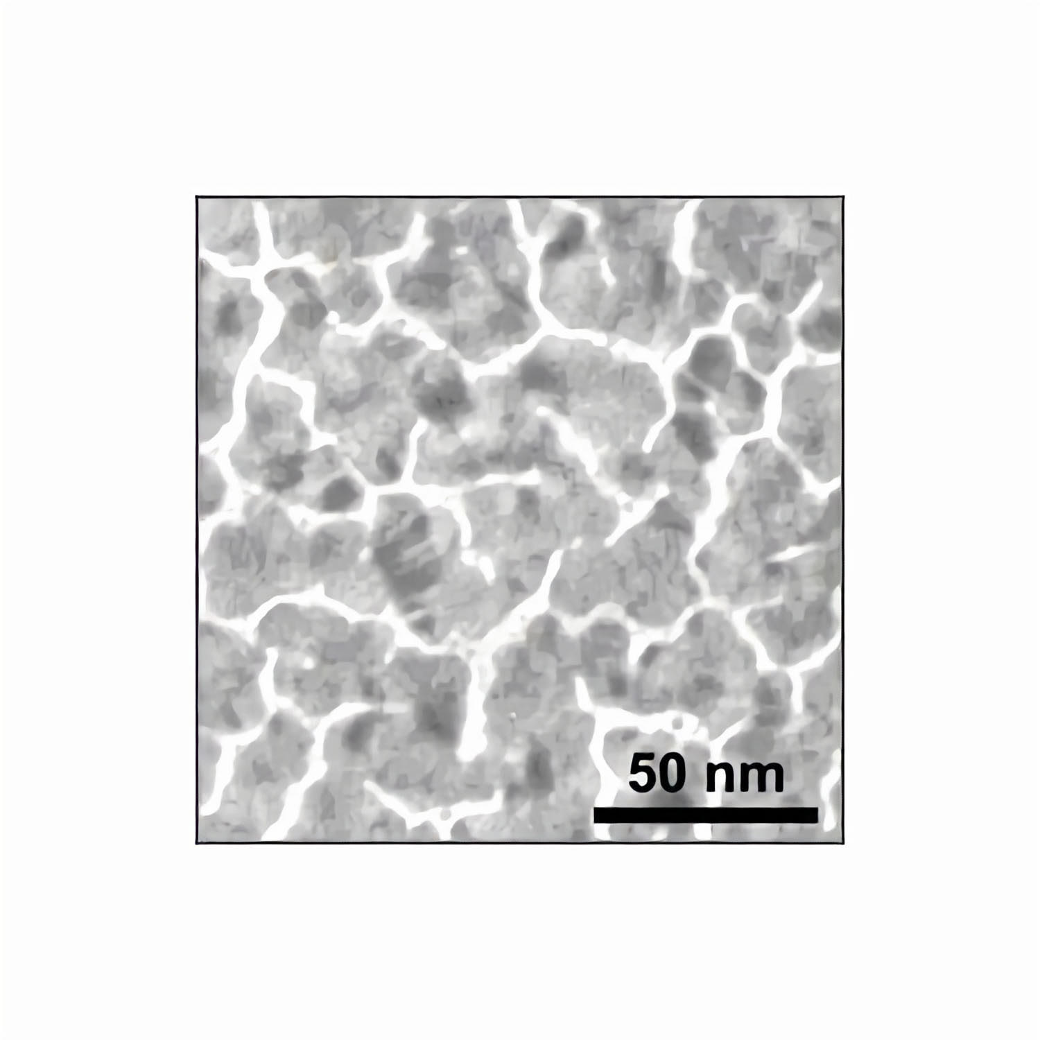 21420_1 Substratek - metallischer Trägerfilm auf 400 mesh Goldnetzchen