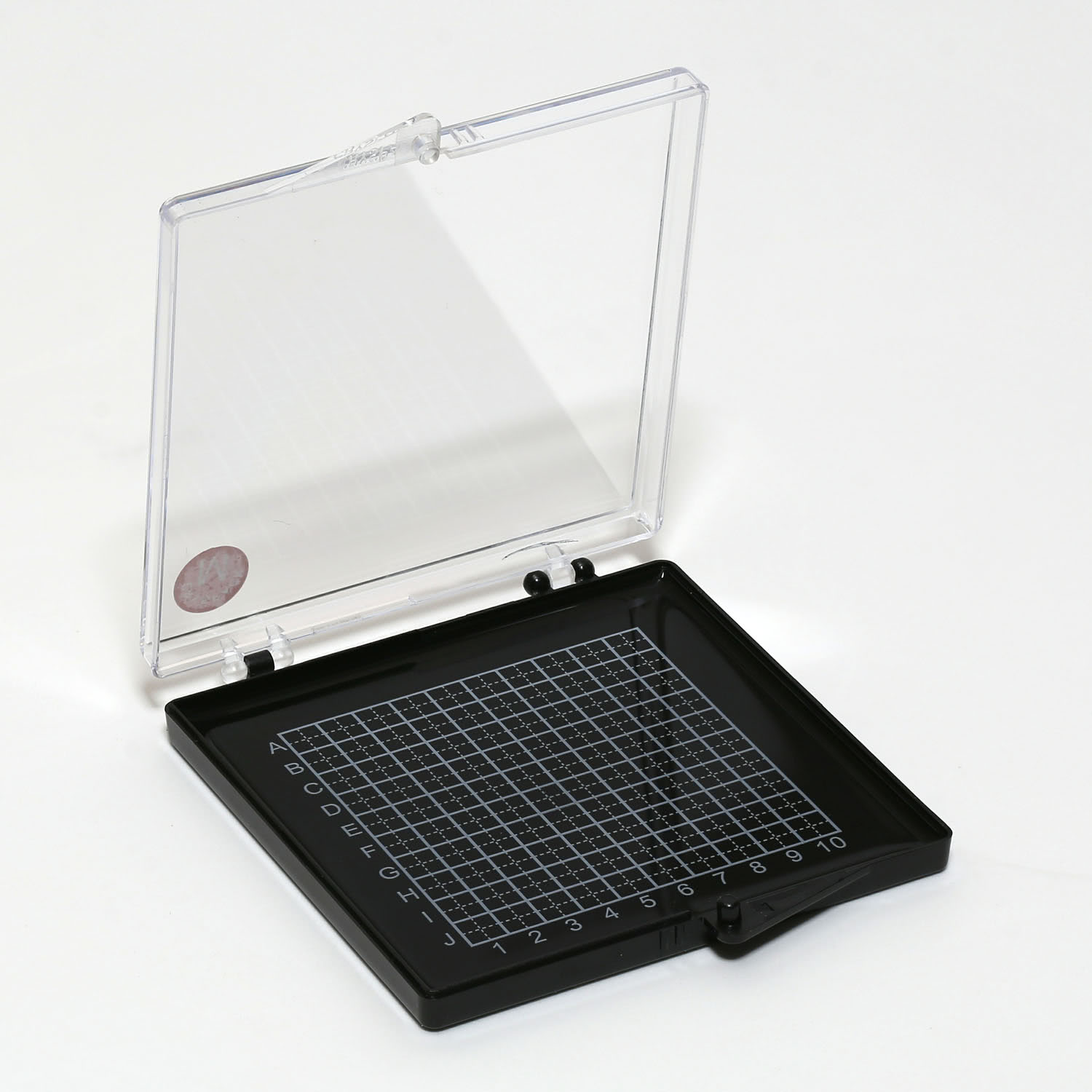 GC39659 Gel-Box mit markierten Feldern