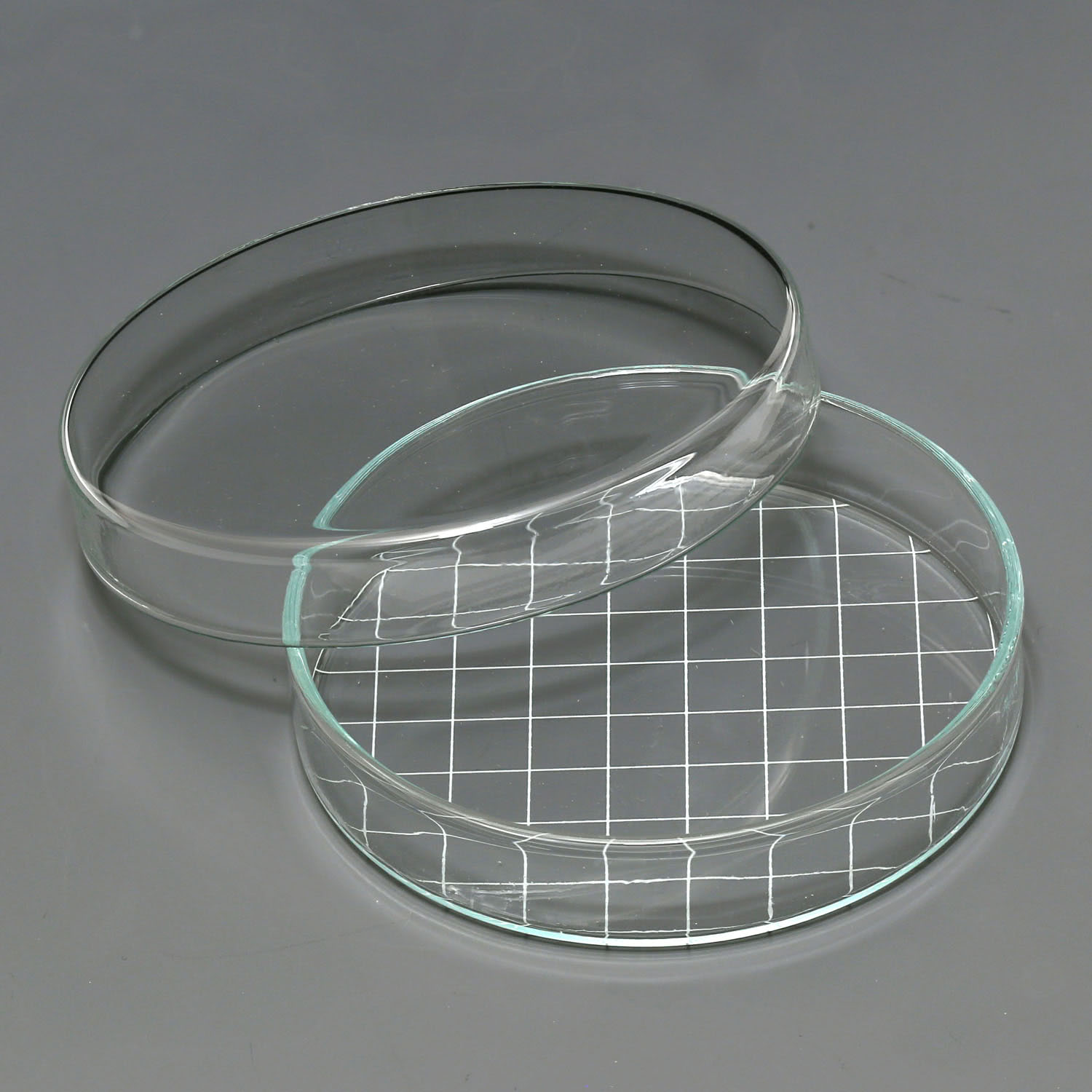 3622100_1 Feuerfeste Petrischalen aus Borosilikatglas oder Kalk-Soda-Glas