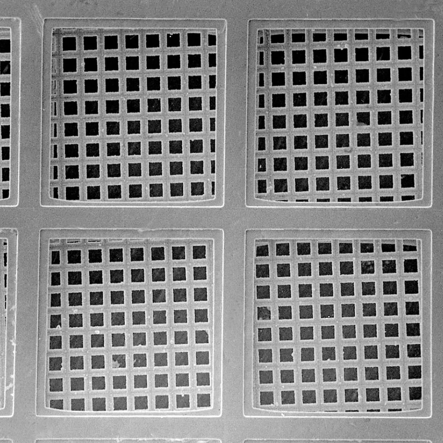 Feinmaschiges Gold-Netz, 1000 mesh - 25 mm x 25 mm