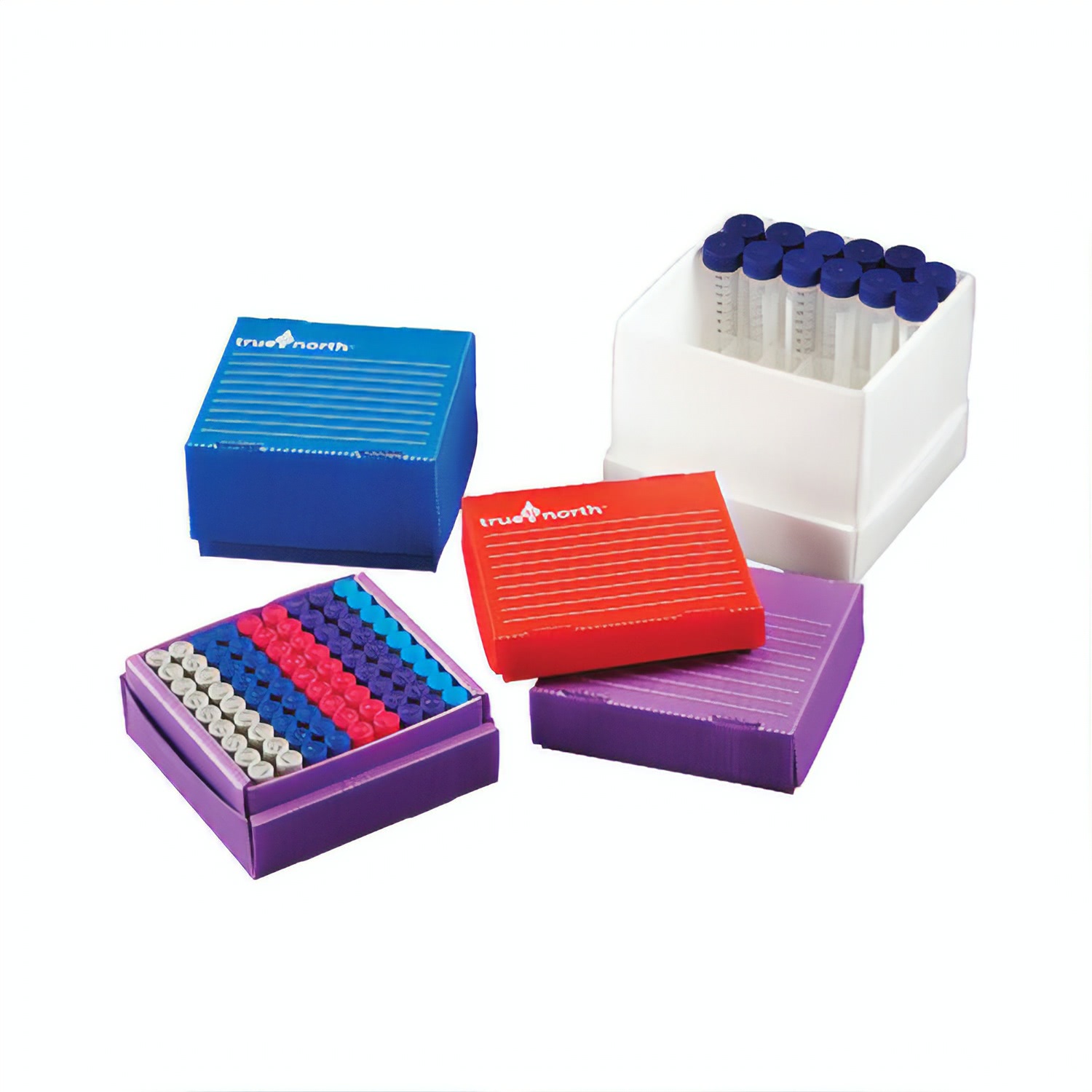 True Northยฎ Gefrierboxen | 10 Stรผck | transparent | 13,3 cm x 13,0 cm x 5,1 cm | 1,5 ml Rรถhrchen/2,0 ml Rรถhrchen | 81 spaces, 12 mm/space