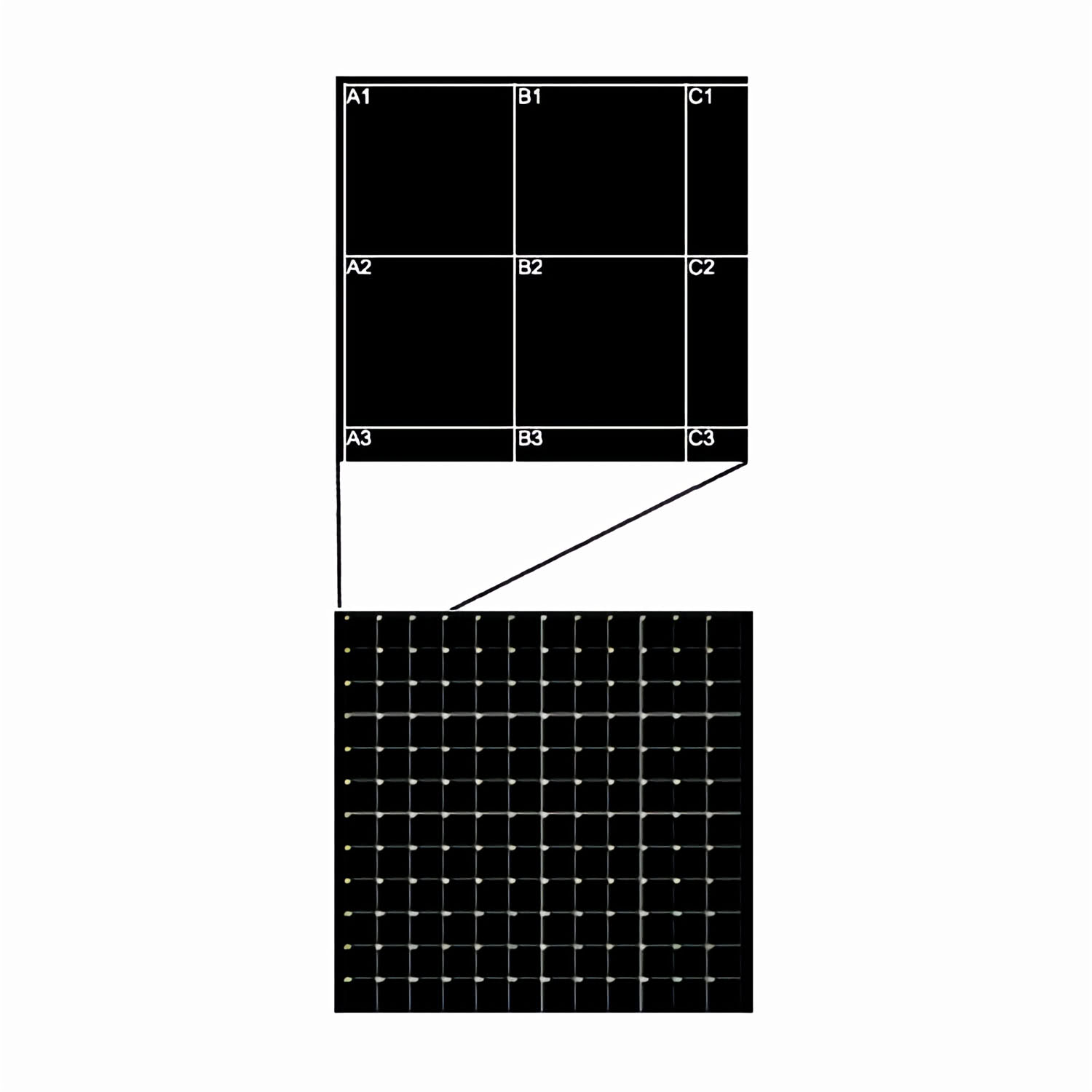 21480_1 Pelcotec SFG12 Silizium Finder Substrat