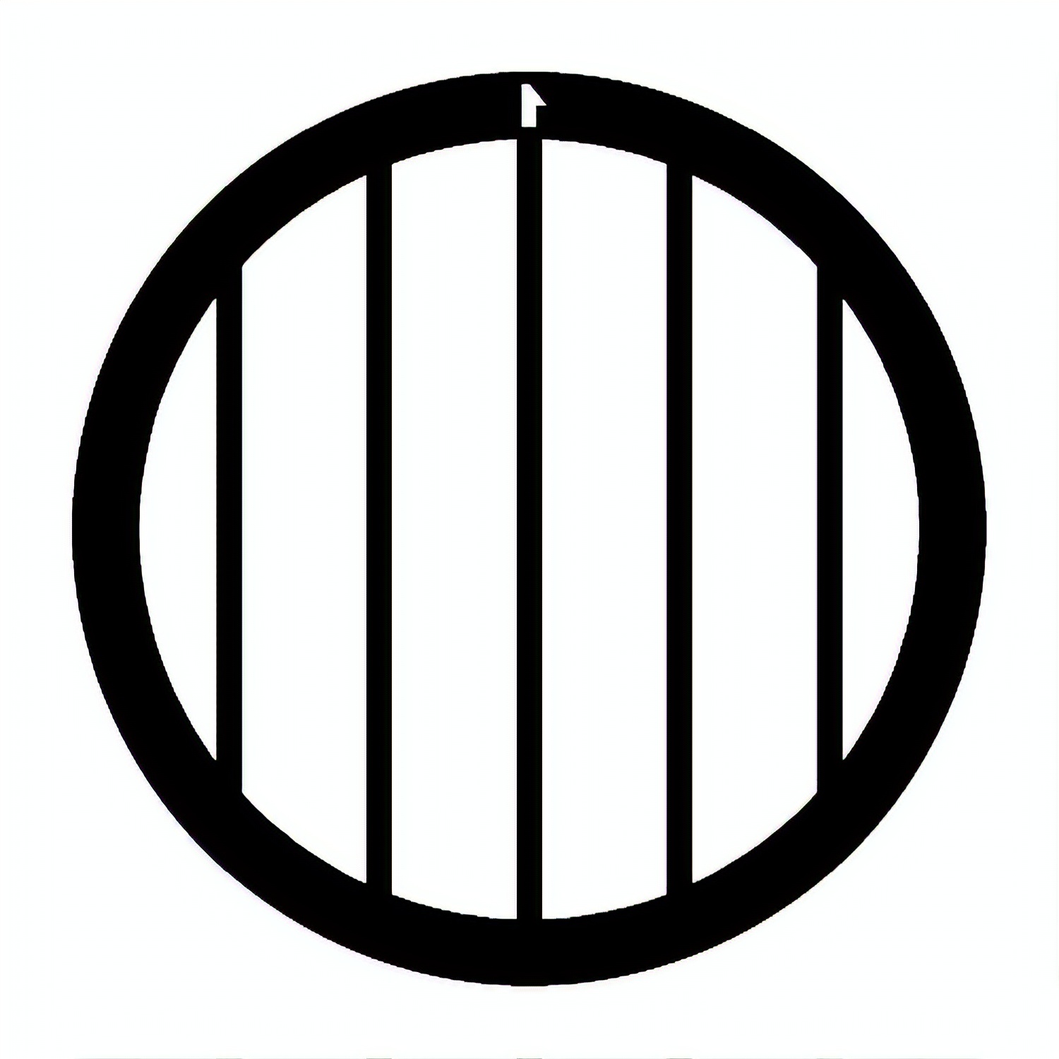 TEM Grids, Netzchen mit parallelen Stegen