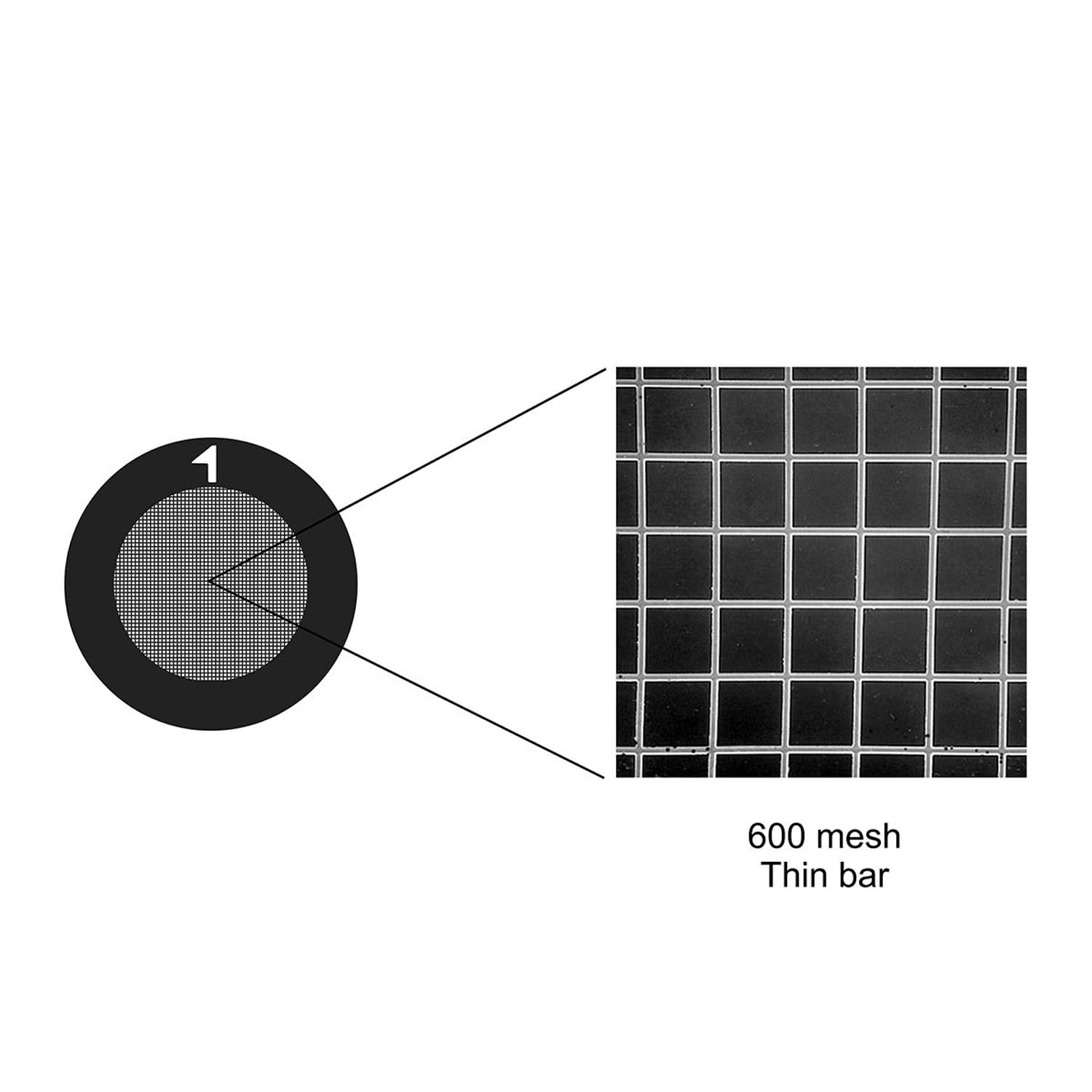 G2655C_1 TEM Dünnstegnetzchen / Grids aus Kupfer