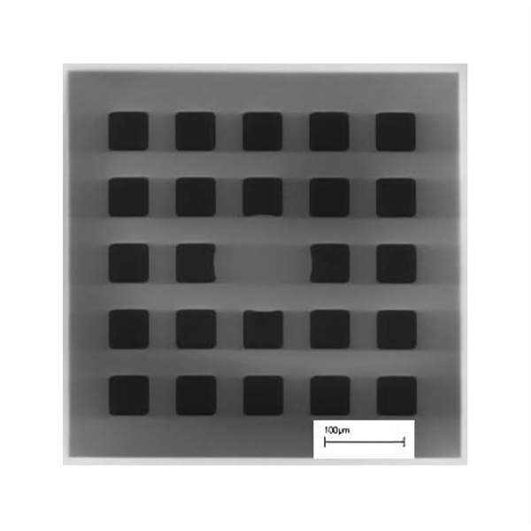 PELCO Siliziumdioxid Membran