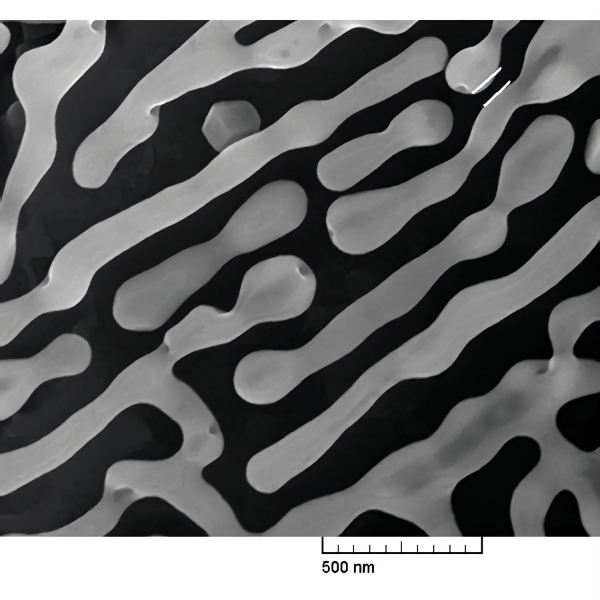 REM-Auflösungstestobjekt mit Dendriten aus Wolfram-Aluminium