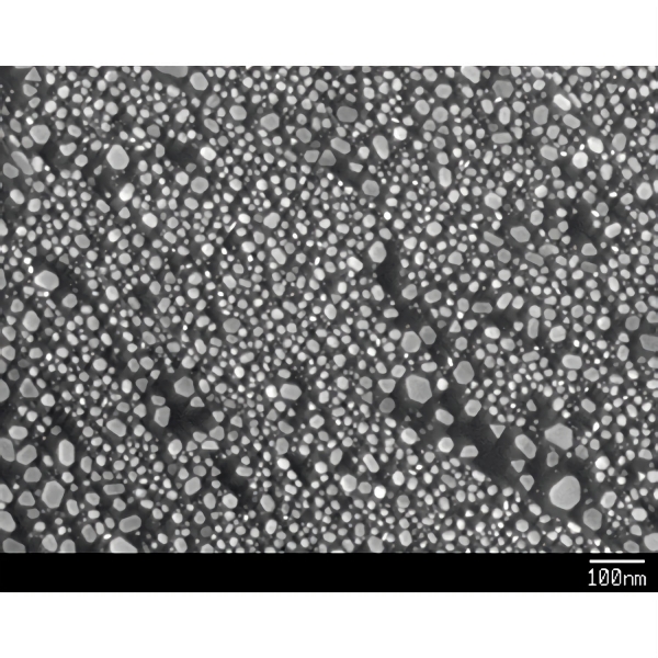 Ultra-Auflösungstestobjekt - Gold auf Kohle (Teilchengröße < 2 nm - 30 nm)