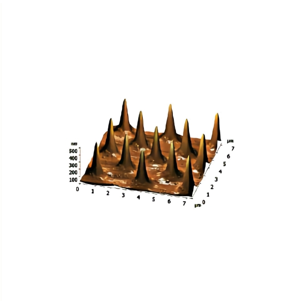 3-D Test-Raster für Spitzenschärfe TGTZ-400 (montiert auf AFM-Scheibe)