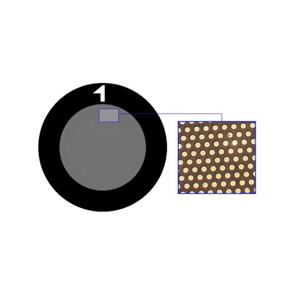 TEM Dünnstegnetzchen / Grids aus Kupfer