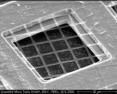 Quantifoil mit quadratischen Öffnungen