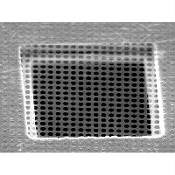 Quantifoil mit runden Öffnungen, Lochform R3/3