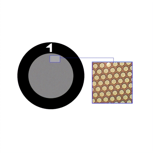 TEM Dünnstegnetzchen / Grids aus Kupfer