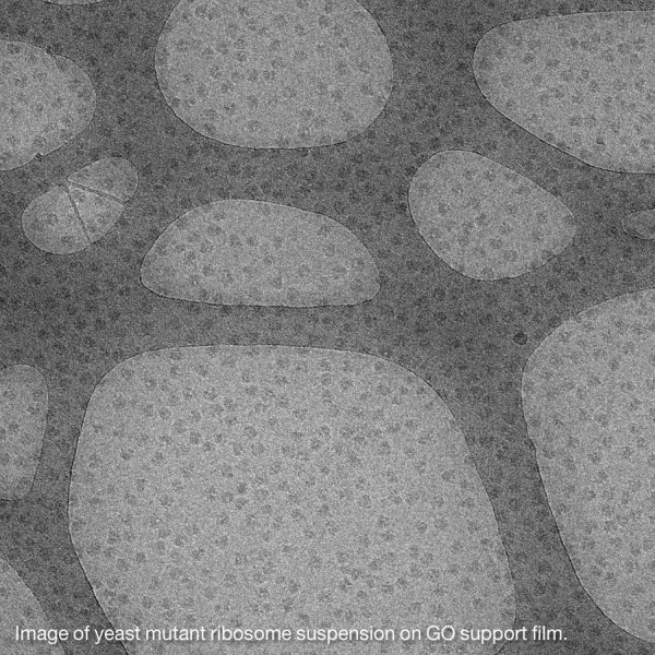 Graphenoxid auf Lacey-Kohle auf Kupfer Netzchen 400 mesh