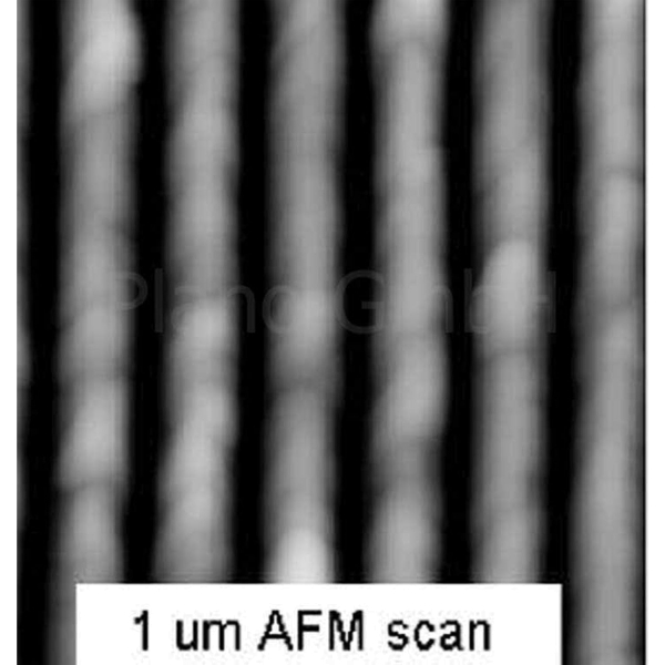 Referenz-Standard für AFM, 145 nm Pitch