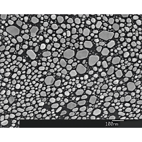 REM-Hochauflösungstestobjekt, Gold auf Kohle, Teilchengröße 5 nm - 150 nm